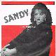 Afbeelding bij: Sandy - Sandy-Nu of nooit / Verliefd willen zijn