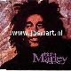 Afbeelding bij: Bob Marley - Bob Marley-Iron Lion Zion / Smile Jamaica